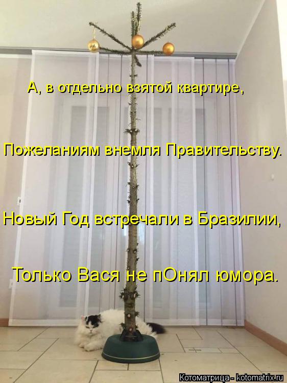 А, в отдельно взятой квартире, Пожеланиям внемля Правительству. Новый Год встречали в Бразилии, Тольк... Котоматрица: А, в отдельно взятой квартире, Пожеланиям внемля Правительству. Новый Год встречали в Бразилии, Только Вася не пОнял юмора.