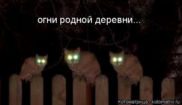 Котоматрица: огни родной деревни...