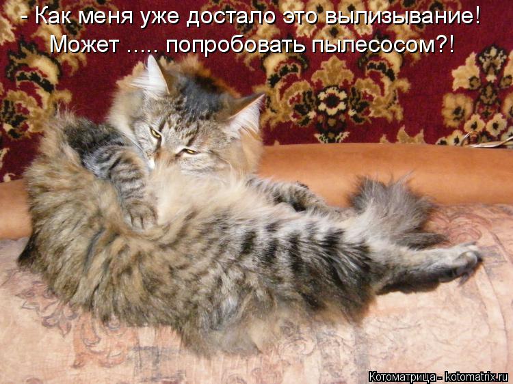 - Как меня уже достало это вылизывание! Может ..... попробовать пылесосом?!... Котоматрица: - Как меня уже достало это вылизывание! Может ..... попробовать пылесосом?!