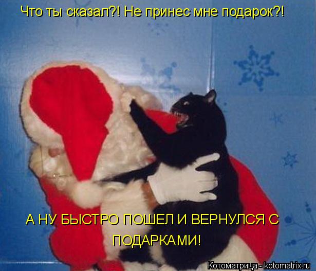 Что ты сказал?! Не принес мне подарок?! А НУ БЫСТРО ПОШЕЛ И ВЕРНУЛСЯ С ПОДАРКАМИ!... Котоматрица: Что ты сказал?! Не принес мне подарок?! А НУ БЫСТРО ПОШЕЛ И ВЕРНУЛСЯ С ПОДАРКАМИ!