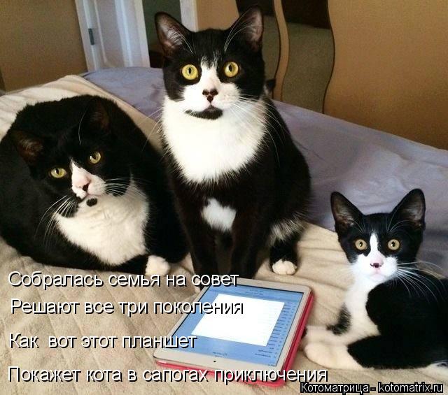 Собралась семья на совет Решают все три поколения Как вот этот планшет Покажет кота в сапогах приклю... Котоматрица: Собралась семья на совет Решают все три поколения Как вот этот планшет Покажет кота в сапогах приключения