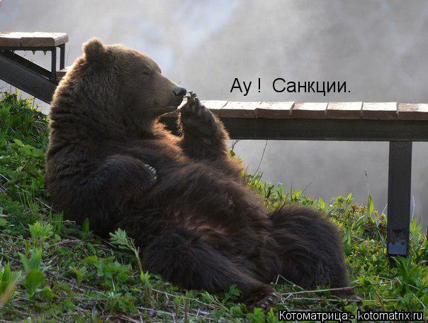 Ау ! Санкции.... Котоматрица: Ау ! Санкции.