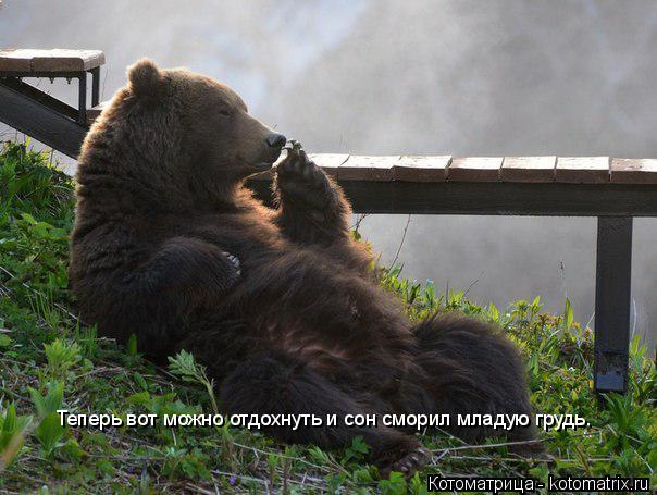 Теперь вот можно отдохнуть и сон сморил младую грудь.... Котоматрица: Теперь вот можно отдохнуть и сон сморил младую грудь.