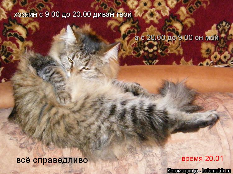 хозяин с 9.00 до 20.00 диван твой время 20.01 а с 20.00 до 9.00 он мой всё справедливо... Котоматрица: хозяин с 9.00 до 20.00 диван твой время 20.01 а с 20.00 до 9.00 он мой всё справедливо