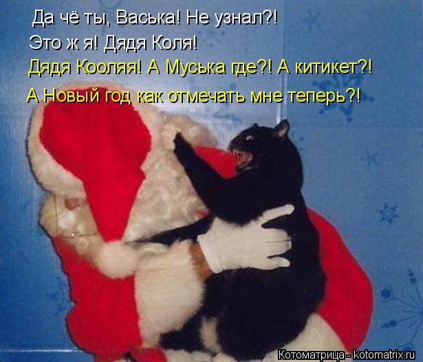 Да чё ты, Васька! Не узнал?! Это ж я! Дядя Коля! Дядя Кооляя! А Муська где?! А китикет?! А Новый год... Котоматрица: Да чё ты, Васька! Не узнал?! Это ж я! Дядя Коля! Дядя Кооляя! А Муська где?! А китикет?! А Новый год как отмечать мне теперь?!