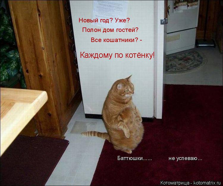 Баттюшки...... не успеваю... Новый год? Уже? Все кошатники? - Каждому по котёнку! Полон ... Котоматрица: Баттюшки...... не успеваю... Новый год? Уже? Все кошатники? - Каждому по котёнку! Полон дом гостей?
