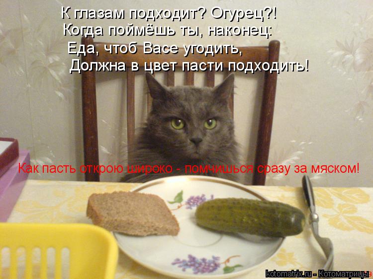 К глазам подходит? Огурец?! Когда поймёшь ты, наконец: Еда, чтоб Васе угодить, Должна в цвет пасти по... Котоматрица: К глазам подходит? Огурец?! Когда поймёшь ты, наконец: Еда, чтоб Васе угодить, Должна в цвет пасти подходить! Как пасть открою широко - помчишь