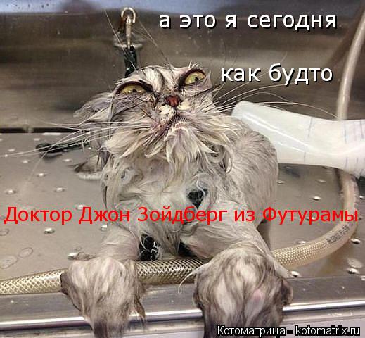 а это я сегодня как будто Доктор Джон Зойдберг из Футурамы... Котоматрица: а это я сегодня как будто Доктор Джон Зойдберг из Футурамы