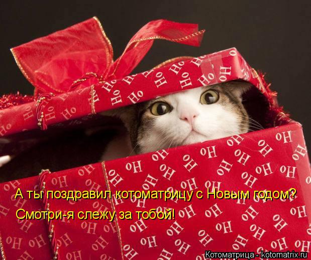 А ты поздравил котоматрицу с Новым годом? Смотри-я слежу за тобой!... Котоматрица: А ты поздравил котоматрицу с Новым годом? Смотри-я слежу за тобой!