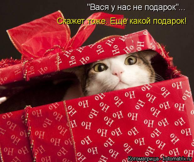 "Вася у нас не подарок"... Скажет тоже. Ещё какой подарок!... Котоматрица: "Вася у нас не подарок"... Скажет тоже. Ещё какой подарок!