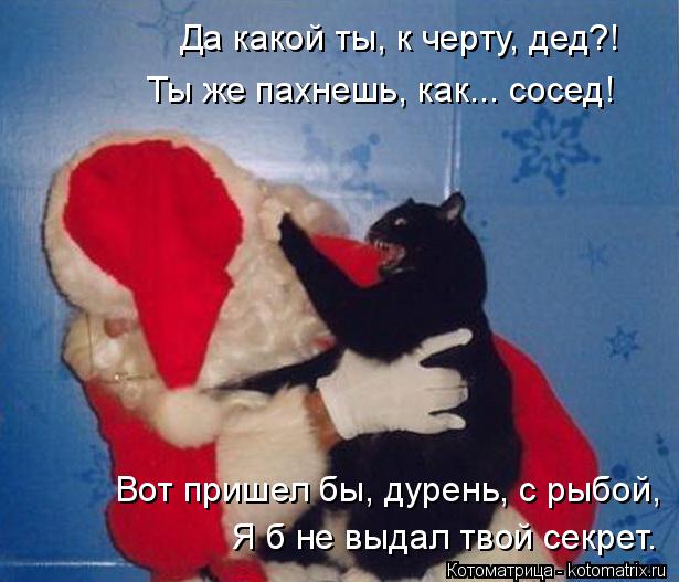 Да какой ты, к черту, дед?! Ты же пахнешь, как... сосед! Вот пришел бы, дурень, с рыбой, Я б не выдал... Котоматрица: Да какой ты, к черту, дед?! Ты же пахнешь, как... сосед! Вот пришел бы, дурень, с рыбой, Я б не выдал твой секрет.