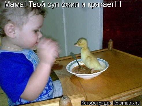 Мама! Твой суп ожил и крякает!!!... Котоматрица: Мама! Твой суп ожил и крякает!!!