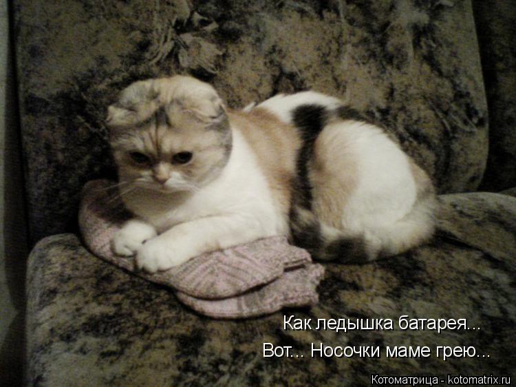 Как ледышка батарея... Вот... Носочки маме грею...... Котоматрица: Как ледышка батарея... Вот... Носочки маме грею...