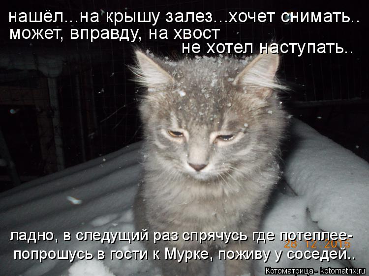 нашёл...на крышу залез...хочет снимать.. может, вправду, на хвост не хотел наступать.. ладно, в след... Котоматрица: нашёл...на крышу залез...хочет снимать.. может, вправду, на хвост не хотел наступать.. ладно, в следущий раз спрячусь где потеплее- попрошусь в