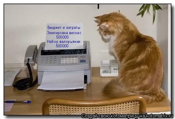 Котоматрица: Бюджет и затраты Экипировка вискас 500000 Набор валерьянки 500000
