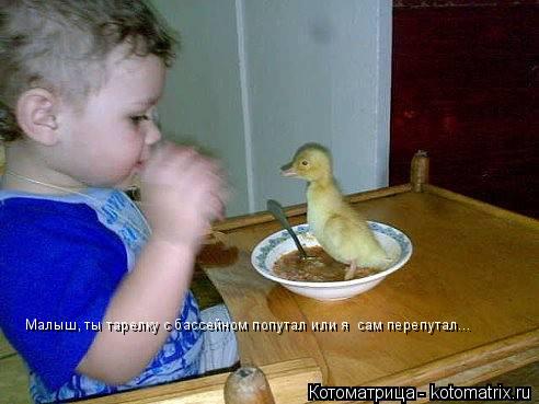Малыш, ты тарелку с бассейном попутал или я сам перепутал...... Котоматрица: Малыш, ты тарелку с бассейном попутал или я сам перепутал...