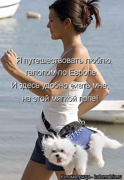 Я путешествовать люблю, галопом по Европе. И здесь удобно ехать мне, на этой мягкой попе!... Котоматрица: Я путешествовать люблю, галопом по Европе. И здесь удобно ехать мне, на этой мягкой попе!