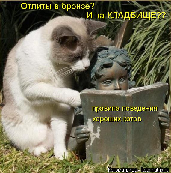 правила поведения хороших котов Отлиты в бронзе? И на КЛАДБИЩЕ??... Котоматрица: правила поведения хороших котов Отлиты в бронзе? И на КЛАДБИЩЕ??