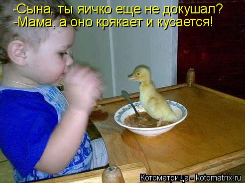 -Сына, ты яичко еще не докушал? -Мама, а оно крякает и кусается!... Котоматрица: -Сына, ты яичко еще не докушал? -Мама, а оно крякает и кусается!