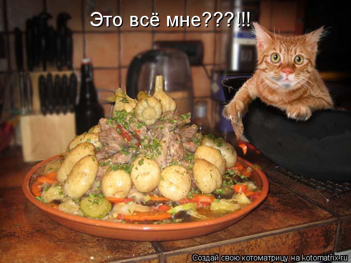 Это всё мне???!!!... Котоматрица: Это всё мне???!!!