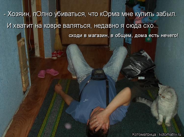 - Хозяин, пОлно убиваться, что кОрма мне купить забыл. И хватит на ковре валяться, недавно я сюда схо... Котоматрица: - Хозяин, пОлно убиваться, что кОрма мне купить забыл. И хватит на ковре валяться, недавно я сюда схо... сходи в магазин, в общем, дома есть нече