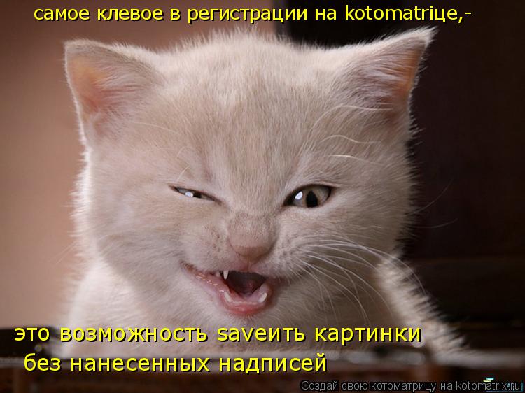 самое клевое в регистрации на kotomatriце,- это возможность saveить картинки без нанесенных надписе... Котоматрица: самое клевое в регистрации на kotomatriце,- это возможность saveить картинки без нанесенных надписей