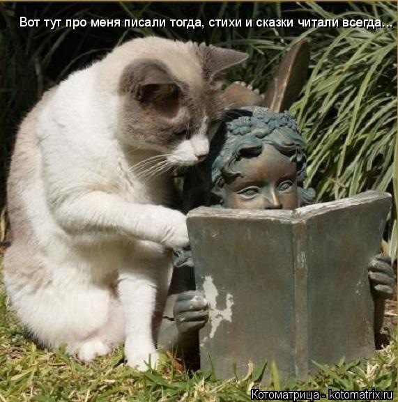 Вот тут про меня писали тогда, стихи и сказки читали всегда...... Котоматрица: Вот тут про меня писали тогда, стихи и сказки читали всегда...