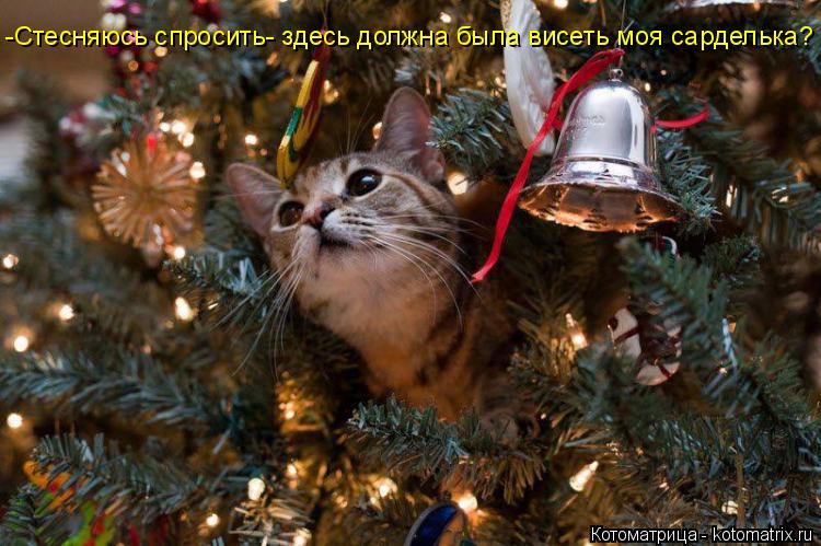 -Стесняюсь спросить- здесь должна была висеть моя сарделька?... Котоматрица: -Стесняюсь спросить- здесь должна была висеть моя сарделька?
