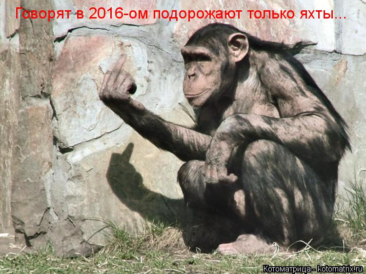 Говорят в 2016-ом подорожают только яхты...... Котоматрица: Говорят в 2016-ом подорожают только яхты...