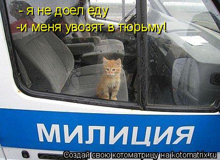 - я не доел еду -и меня увозят в тюрьму!... Котоматрица: - я не доел еду -и меня увозят в тюрьму!
