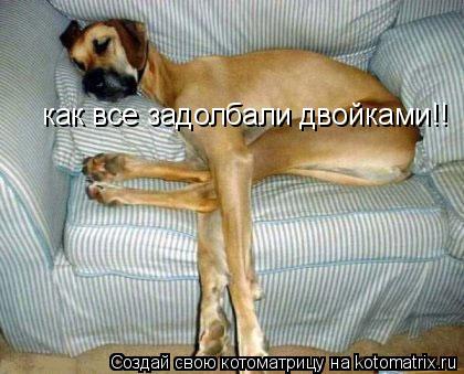 как все задолбали двойками!!... Котоматрица: как все задолбали двойками!!
