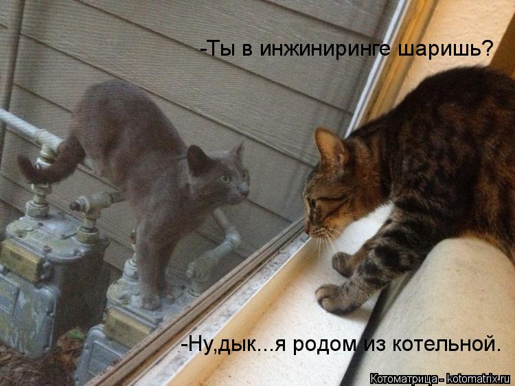 -Ты в инжиниринге шаришь? -Ну,дык...я родом из котельной.... Котоматрица: -Ты в инжиниринге шаришь? -Ну,дык...я родом из котельной.