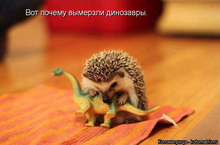 Вот почему вымерзли динозавры.... Котоматрица: Вот почему вымерзли динозавры.