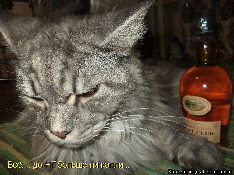 Всё.....до НГ больше ни капли....... Котоматрица: Всё.....до НГ больше ни капли....