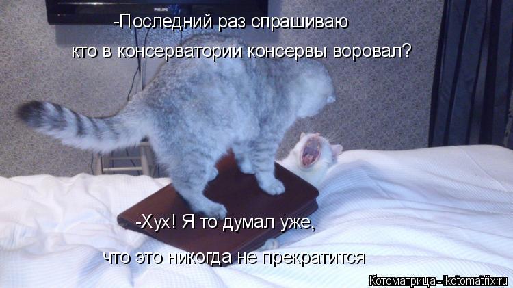 -Последний раз спрашиваю кто в консерватории консервы воровал? -Хух! Я то думал уже, что это никогд... Котоматрица: -Последний раз спрашиваю кто в консерватории консервы воровал? -Хух! Я то думал уже, что это никогда не прекратится