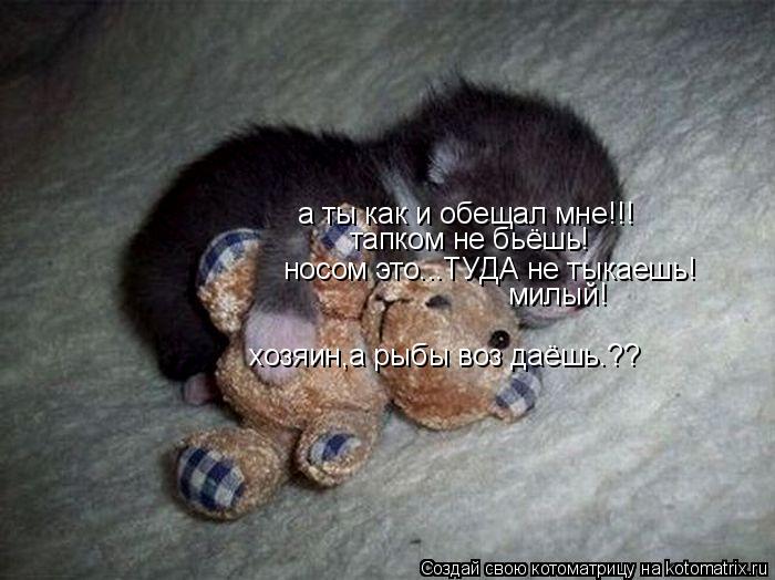 а ты как и обещал мне!!! тапком не бьёшь! носом это...ТУДА не тыкаешь! милый! хозяин,а рыбы воз даёшь... Котоматрица: а ты как и обещал мне!!! тапком не бьёшь! носом это...ТУДА не тыкаешь! милый! хозяин,а рыбы воз даёшь.??