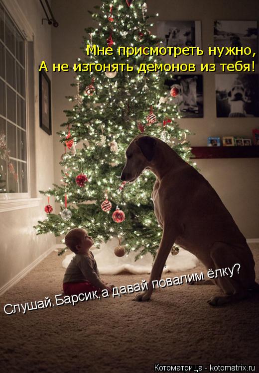 Слушай,Барсик,а давай повалим ёлку? Мне присмотреть нужно, А не изгонять демонов из тебя!... Котоматрица: Слушай,Барсик,а давай повалим ёлку? Мне присмотреть нужно, А не изгонять демонов из тебя!