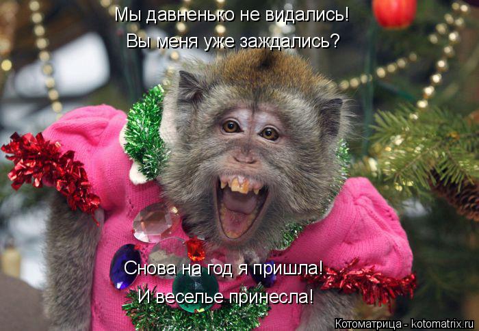 Мы давненько не видались! Вы меня уже заждались? Снова на год я пришла! И веселье принесла!... Котоматрица: Мы давненько не видались! Вы меня уже заждались? Снова на год я пришла! И веселье принесла!