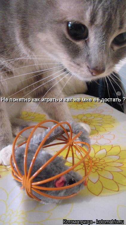 Не понятно как играть и как же мне её достать ?... Котоматрица: Не понятно как играть и как же мне её достать ?