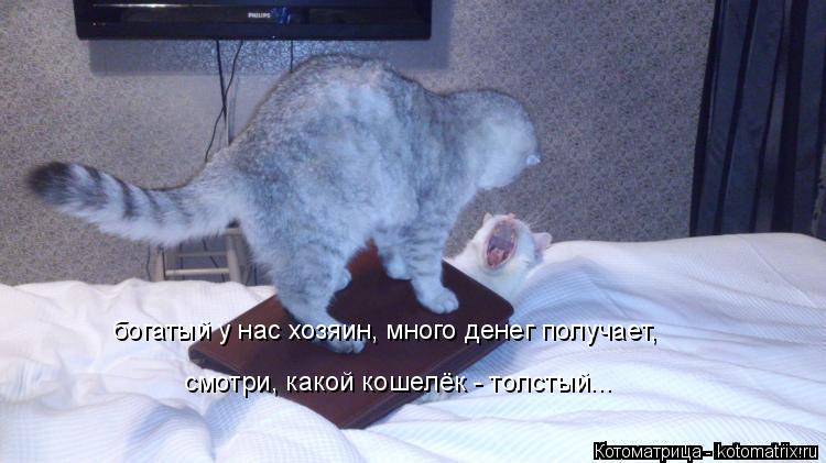 богатый у нас хозяин, много денег получает, смотри, какой кошелёк - толстый...... Котоматрица: богатый у нас хозяин, много денег получает, смотри, какой кошелёк - толстый...