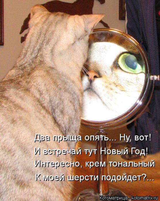 Два прыща опять... Ну, вот! И встречай тут Новый Год! Интересно, крем тональный К моей шерсти подойде... Котоматрица: Два прыща опять... Ну, вот! И встречай тут Новый Год! Интересно, крем тональный К моей шерсти подойдет?...