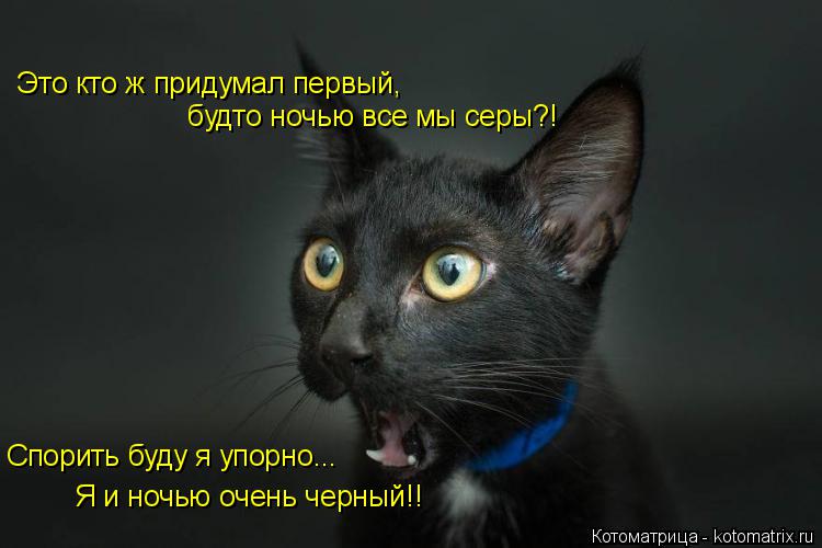 Это кто ж придумал первый, будто ночью все мы серы?! Спорить буду я упорно... Я и ночью очень черны... Котоматрица: Это кто ж придумал первый, будто ночью все мы серы?! Спорить буду я упорно... Я и ночью очень черный!!
