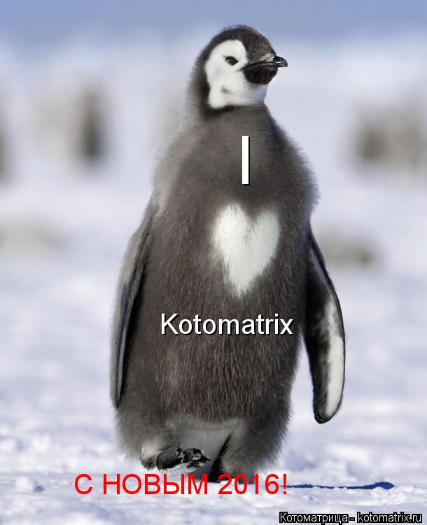 I Kotomatrix С НОВЫМ 2016!... Котоматрица: I Kotomatrix С НОВЫМ 2016!