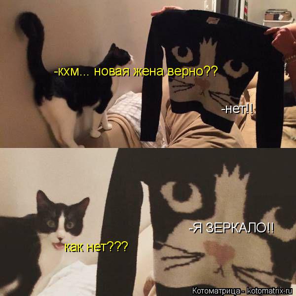 -кхм... новая жена верно?? -нет!! как нет??? -Я ЗЕРКАЛО!!... Котоматрица: -кхм... новая жена верно?? -нет!! как нет??? -Я ЗЕРКАЛО!!
