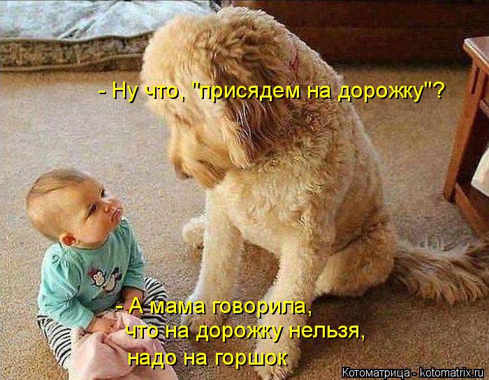 - Ну что, "присядем на дорожку"? - А мама говорила, что на дорожку нельзя, надо на горшок... Котоматрица: - Ну что, "присядем на дорожку"? - А мама говорила, что на дорожку нельзя, надо на горшок
