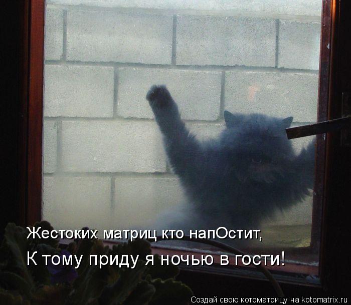 Жестоких матриц кто напОстит, К тому приду я ночью в гости!... Котоматрица: Жестоких матриц кто напОстит, К тому приду я ночью в гости!