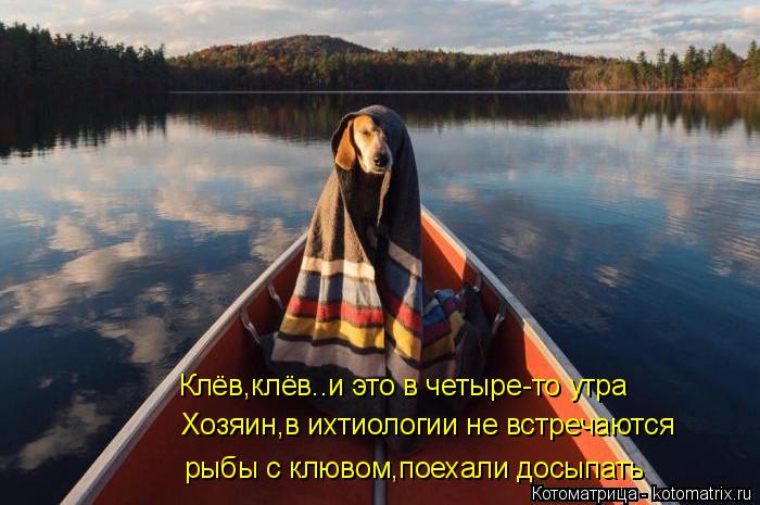 Клёв,клёв..и это в четыре-то утра Хозяин,в ихтиологии не встречаются рыбы с клювом,поехали досыпать... Котоматрица: Клёв,клёв..и это в четыре-то утра Хозяин,в ихтиологии не встречаются рыбы с клювом,поехали досыпать