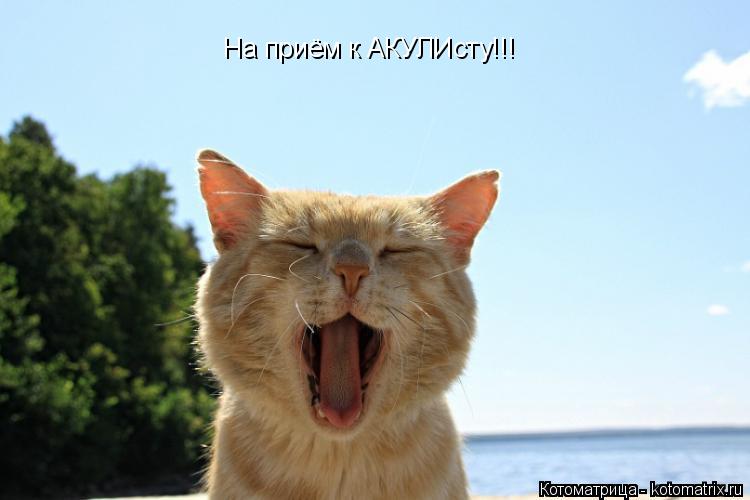 Котоматрица: На приём к АКУЛИсту!!!