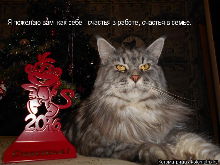 Я пожелаю вам как себе : счастья в работе, счастья в семье.... Котоматрица: Я пожелаю вам как себе : счастья в работе, счастья в семье.