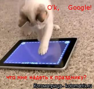 Котоматрица: O'k,    Google! что мне надеть к празднику?